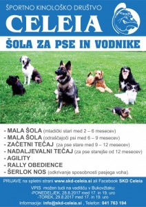 2017-07_skd_plakat_s