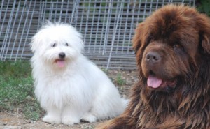 2018_barbara_narat_libbyaga