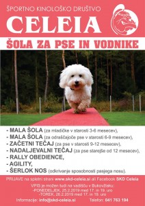 2019_plakat_vpis_pomlad