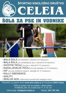 2020_01_skd_plakat_2020_pomlad